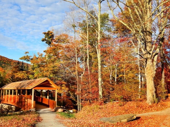 Windham